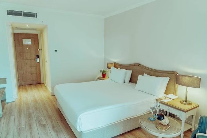 Standart Kara Manzaralı