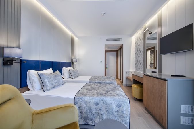 Standart Kara Manzaralı