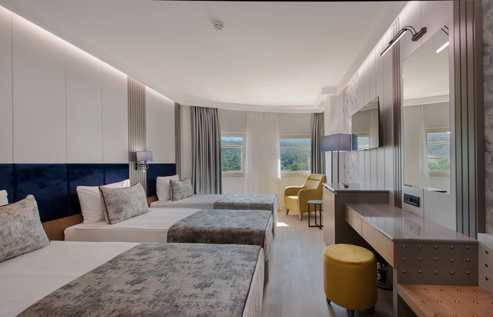 Standart Kara Manzaralı