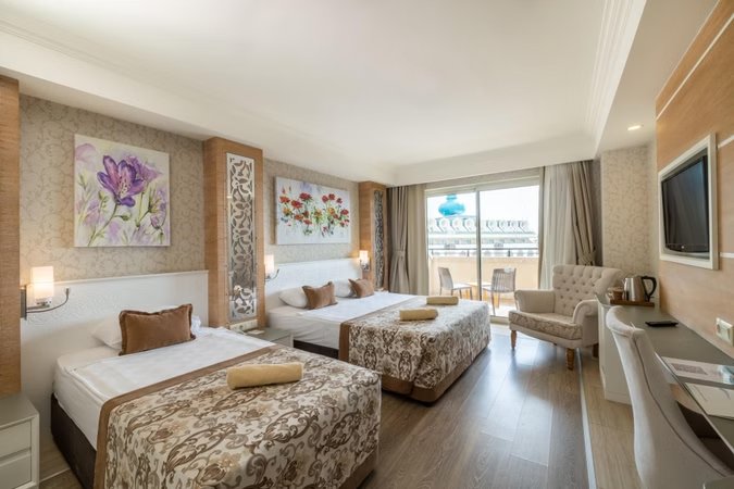 Standart Kara Manzaralı