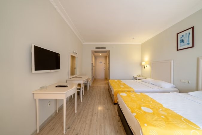 Standart Kara Manzaralı